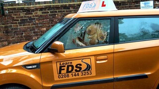 Amateur Black Teen Gets Her First Outdoor Ride - sex videos online YAY.PORN