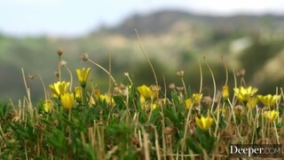 Blonde Jessie Saint Sucks and Rides Anton Harden - Pussy Licking, Reverse Cowgirl, Small Tits - sex videos online YAY.PORN