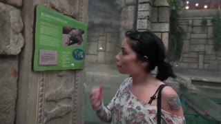 GF Experience with Rina Ellis - POV Fingering & More - sex videos online YAY.PORN