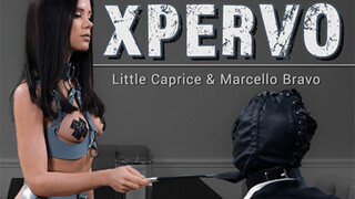 Brunette Femdom Queen - LittleCaprice Teases with Pussy Licking & Ball Sucking - sex videos online YAY.PORN